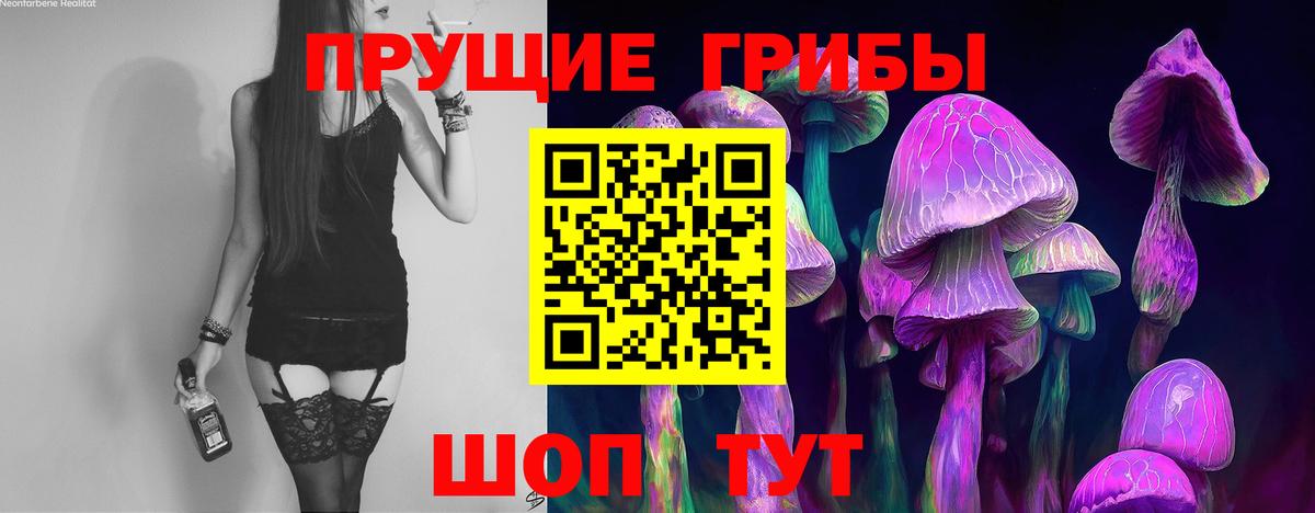 Сарапул  Галлюциногенные грибы Psilocybe  Вход с VPN 
